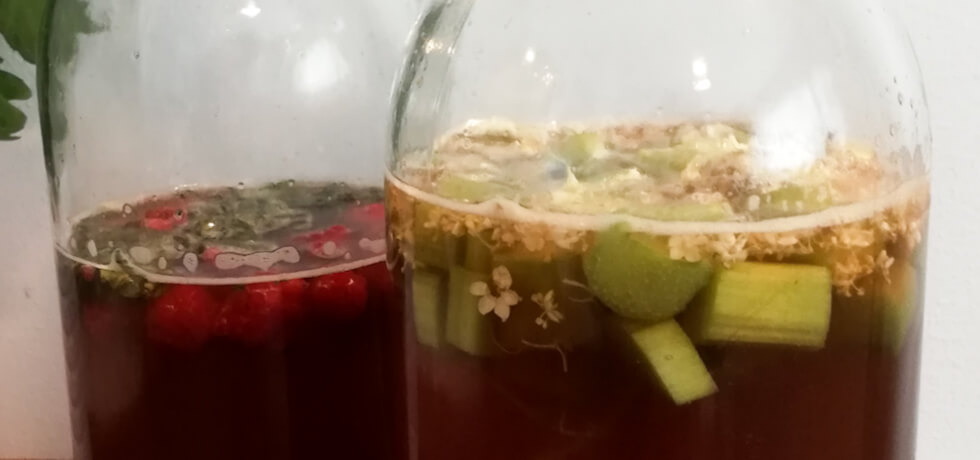 2019-11-kombucha-980x460.jpg